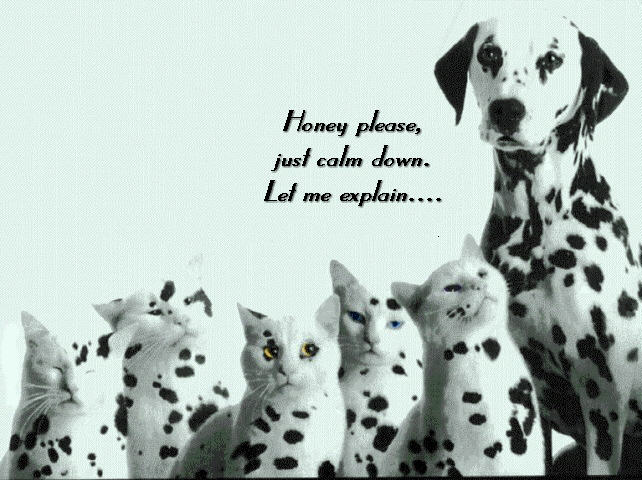 Dogs' fidelity